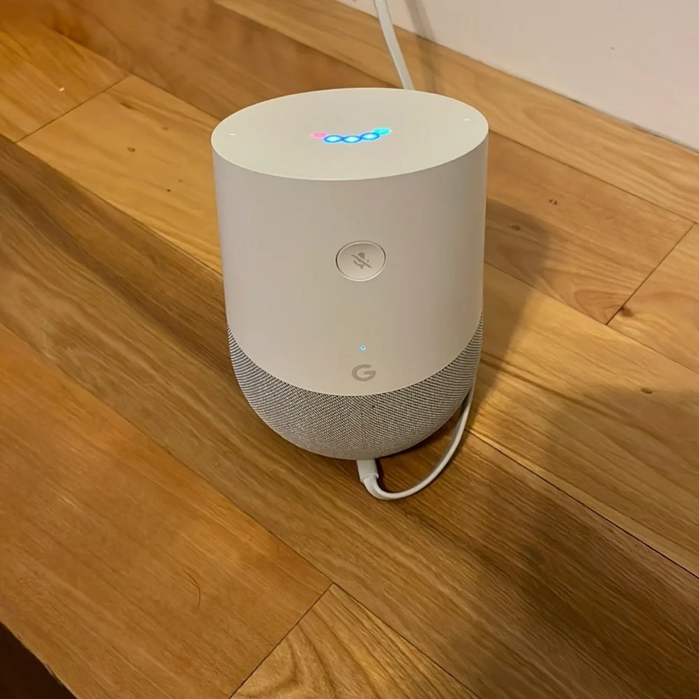 Google Home Assistant